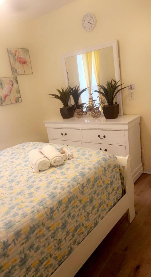 Caribbean Splendor Vacation Rental Near Bush Gardens Tampa Fl Eksteriør billede